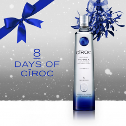 Graphic design services and social media content creation showcasing a festive Christmas product countdown campaign day 8 blue bow and blue mistletoe.
