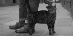 Cinematic fashion film shot featuring authentic lifestyle video production on Brick Lane in London.