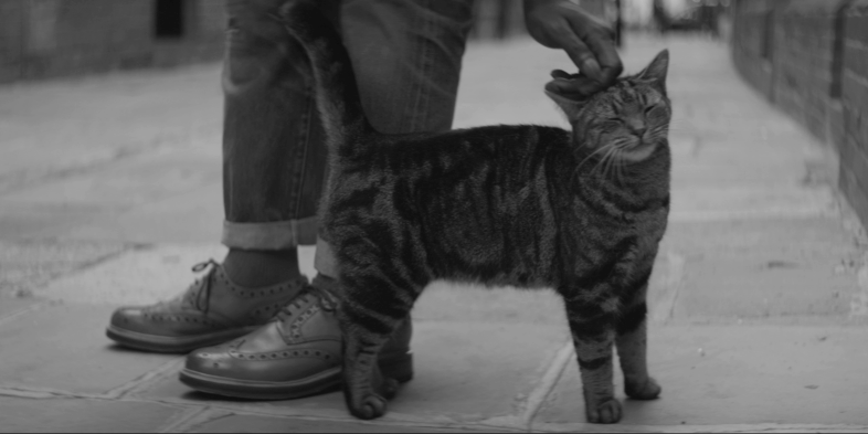 Man In Worn Leather Shoes Petting Tabby Cat In Brick Lane London