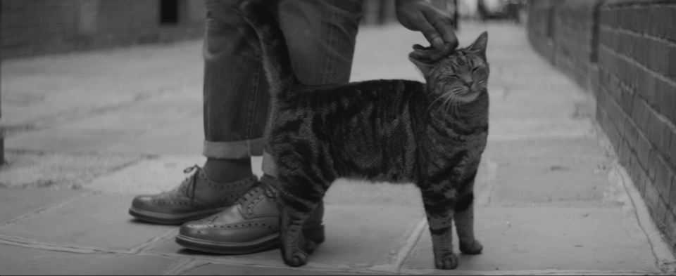 Man In Worn Leather Shoes Petting Tabby Cat In Brick Lane London