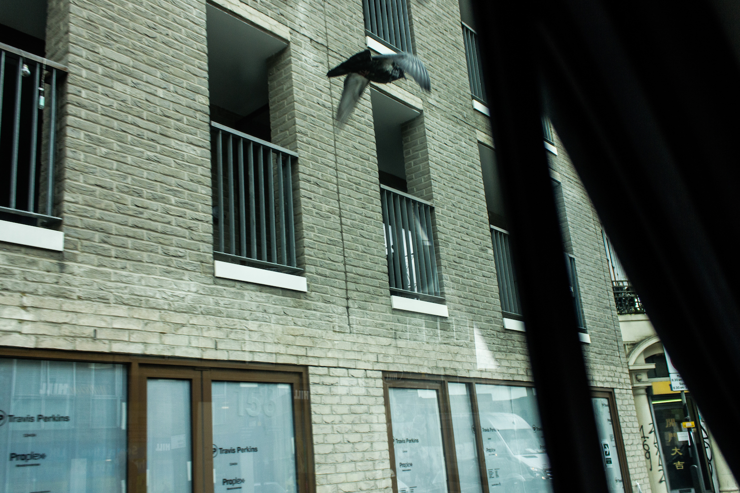 Professional Photography Black And Grey Pigeon Flying Parallel With Van In Haggerston East London