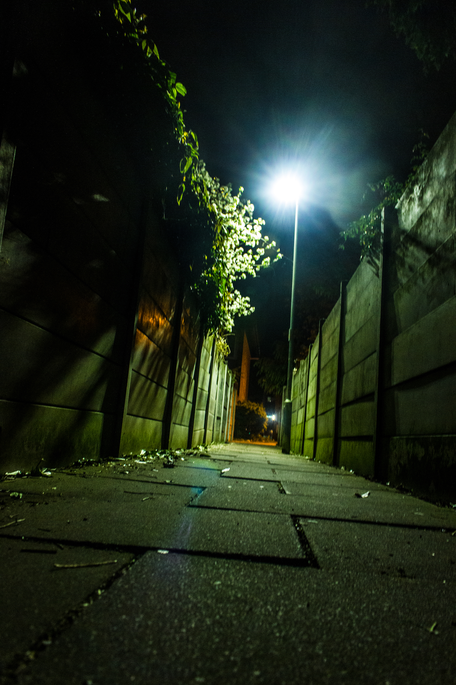 Professional Photography Gritty Alley With Concrete In Ilford North East London.