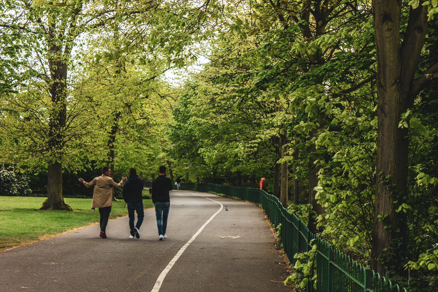 Professional Photography Three Asian Men Walk On Park Path Talking Surrounded By Green Trees