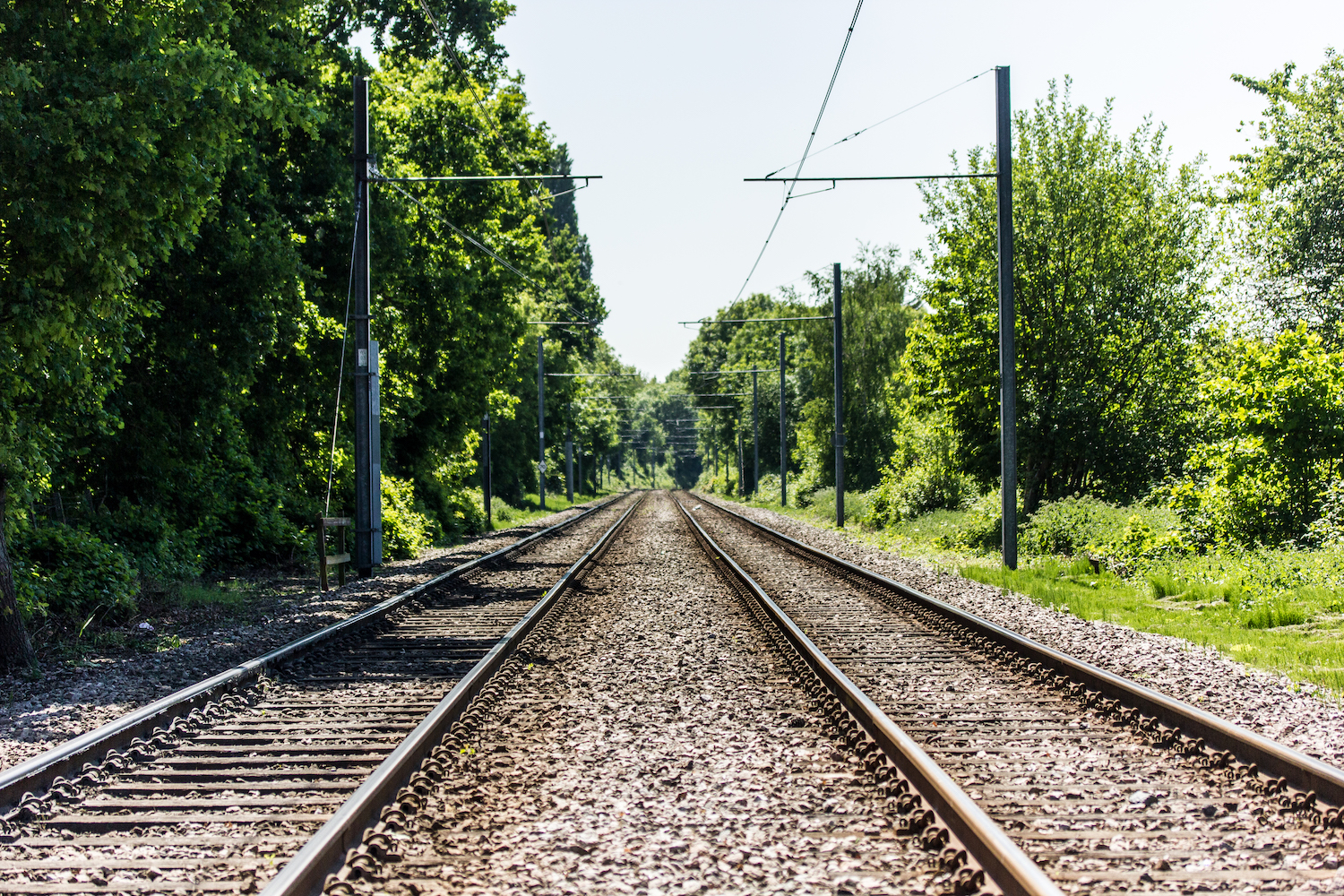 Professional Photography Tram Tracks Surrounded By Trees And Nature In South Norwood South London