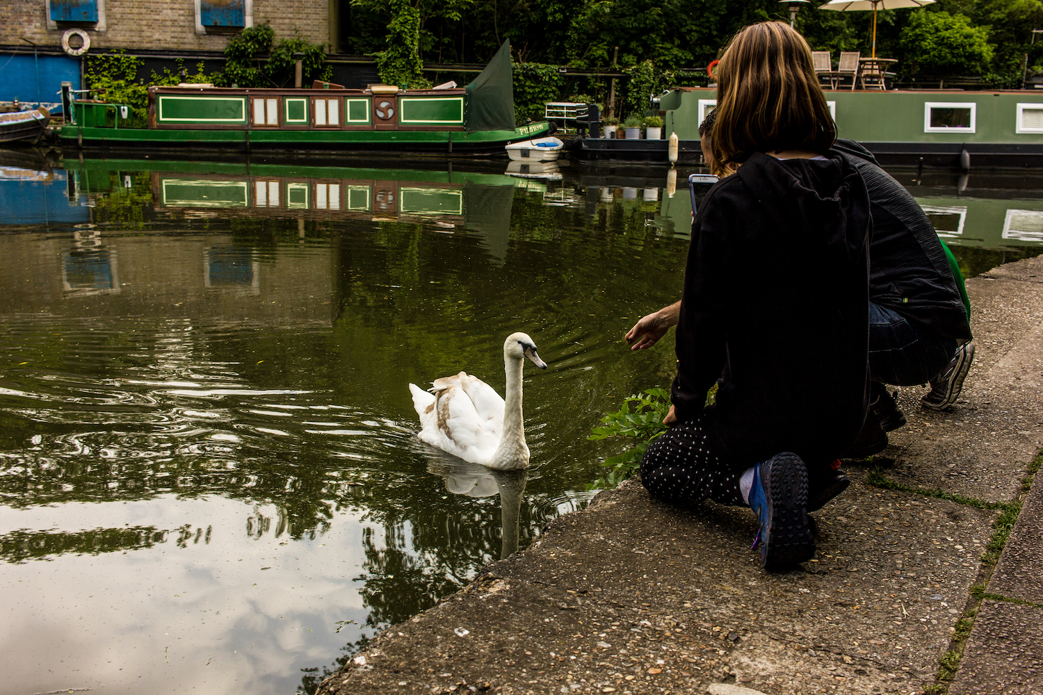 Professional Photography Two People Kneeling Feeding White Swan In Canal River With Barges In Background